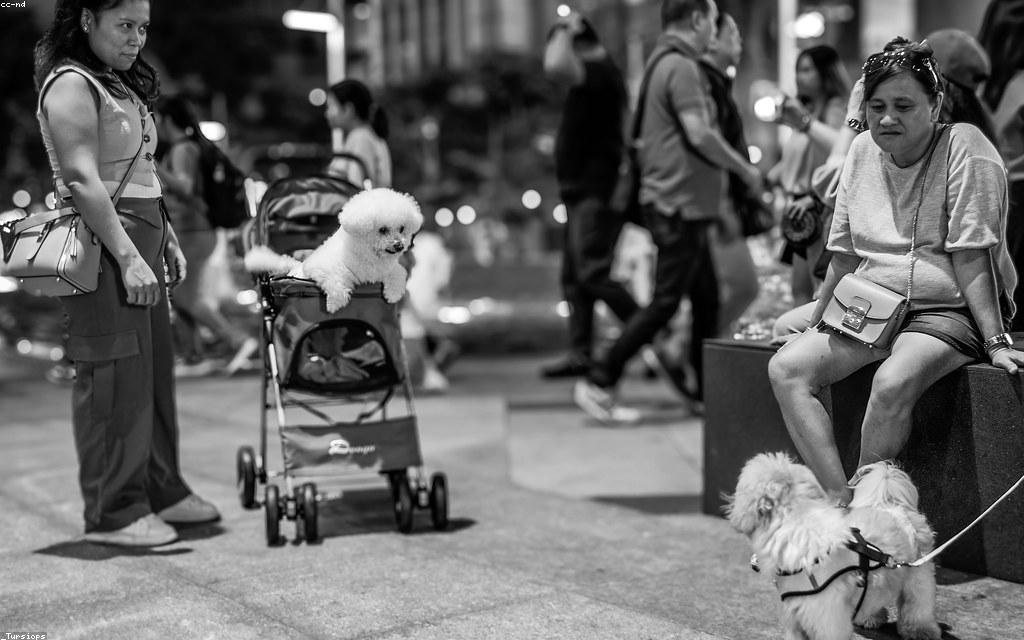 How Social Proof Quietly Shapes Every Purchase You Make Online